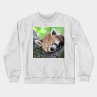 Red Panda 003 Crewneck Sweatshirt